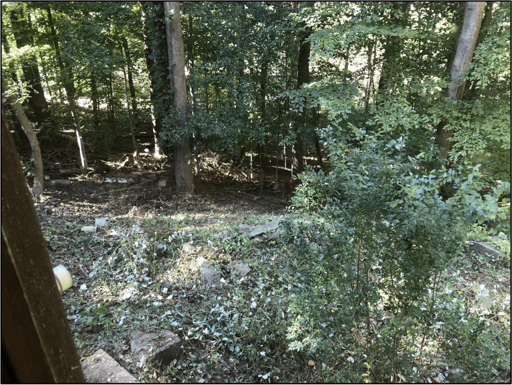 817 Clinton Place Mclean VA 22101