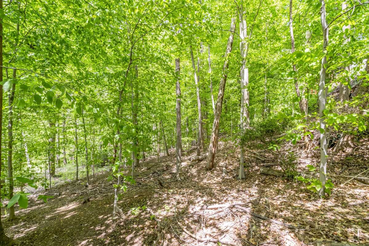 817 Clinton Place Mclean VA 22101