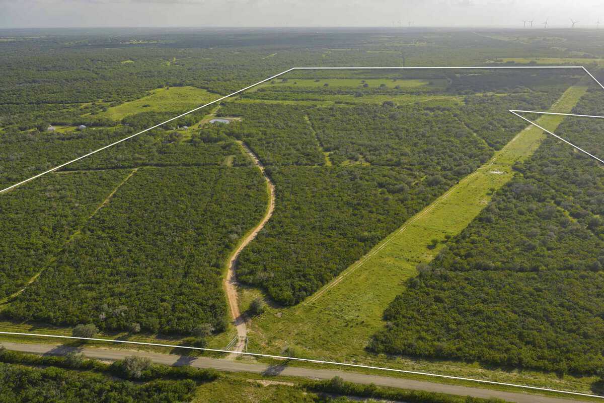 10255 Cr 113 Pettus TX 78146