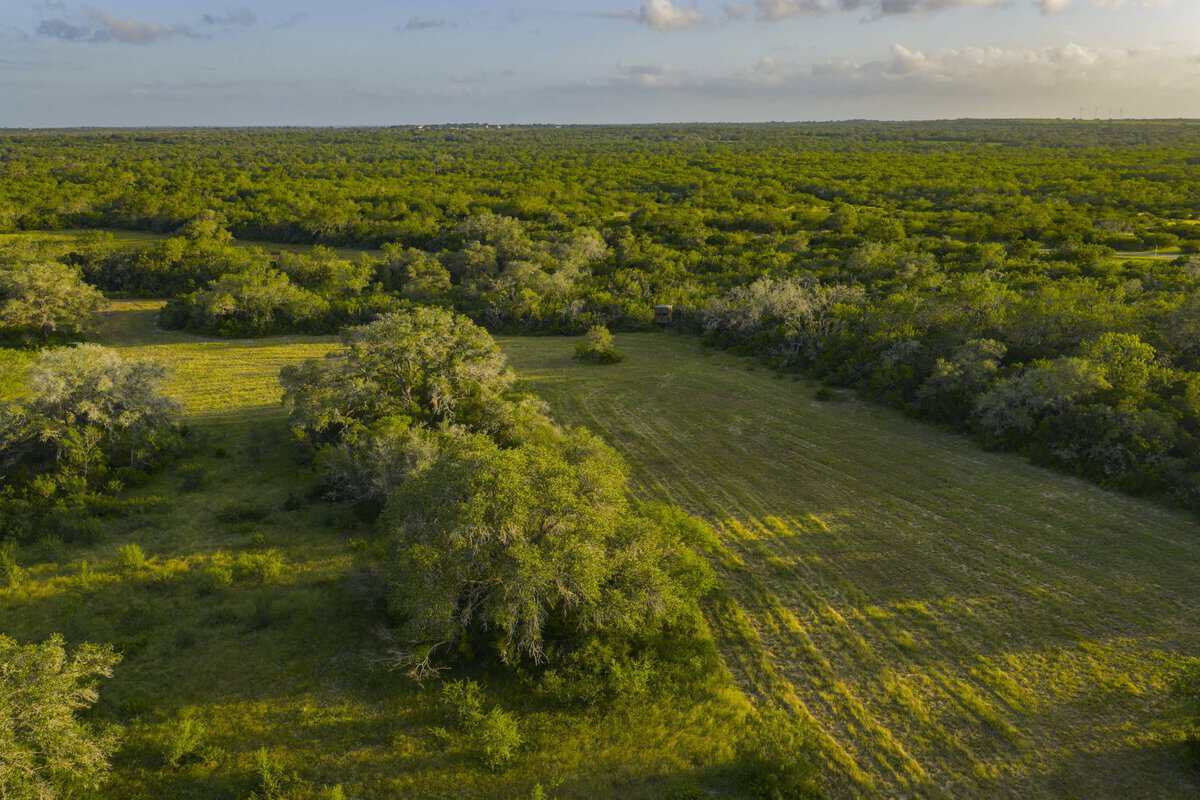 10255 Cr 113 Pettus TX 78146