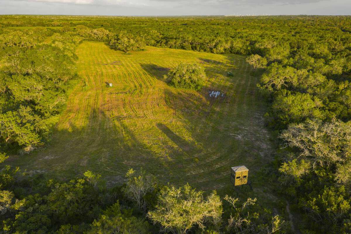 10255 Cr 113 Pettus TX 78146