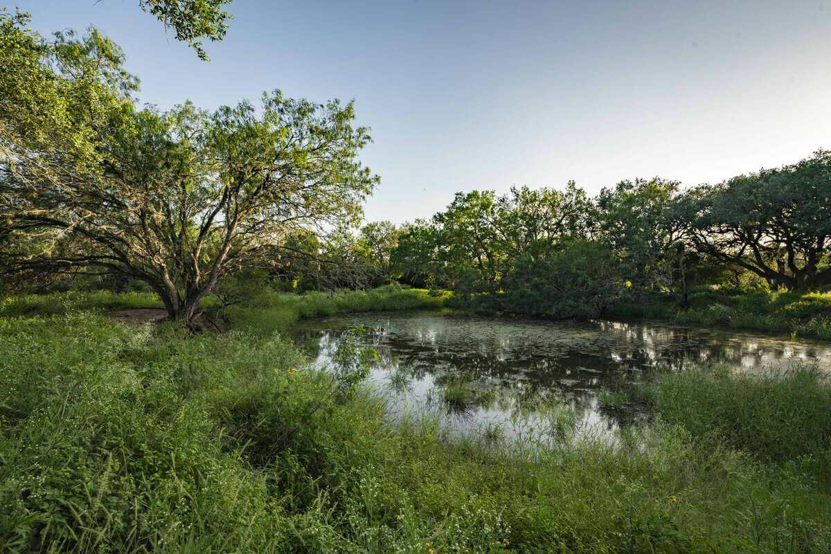 10255 Cr 113 Pettus TX 78146