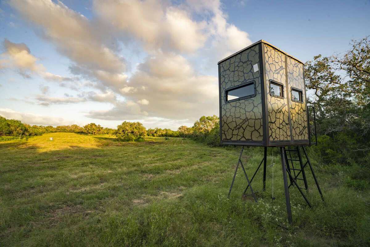 10255 Cr 113 Pettus TX 78146