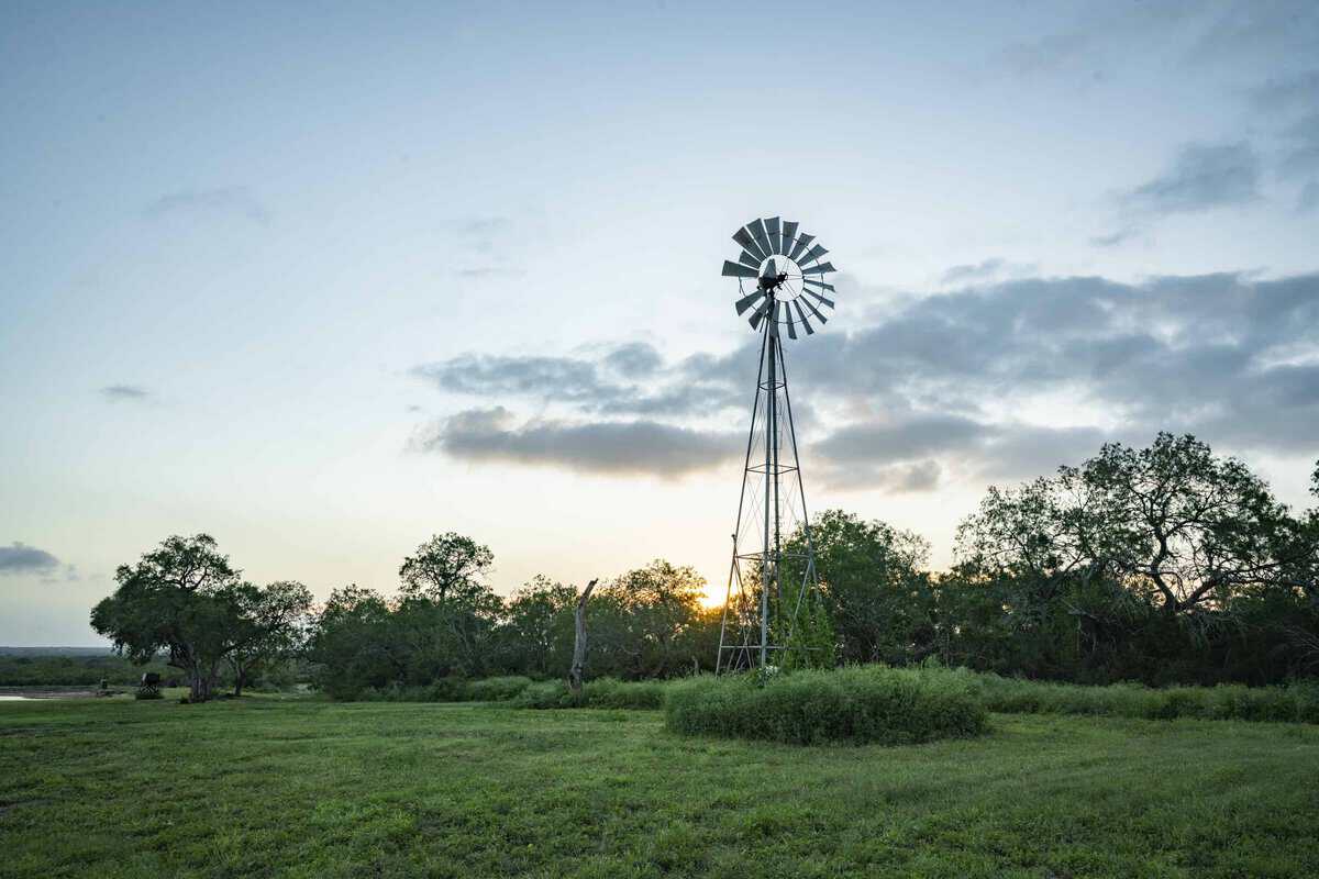 10255 Cr 113 Pettus TX 78146