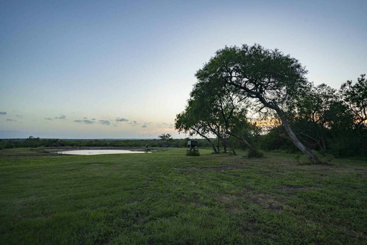 10255 Cr 113 Pettus TX 78146