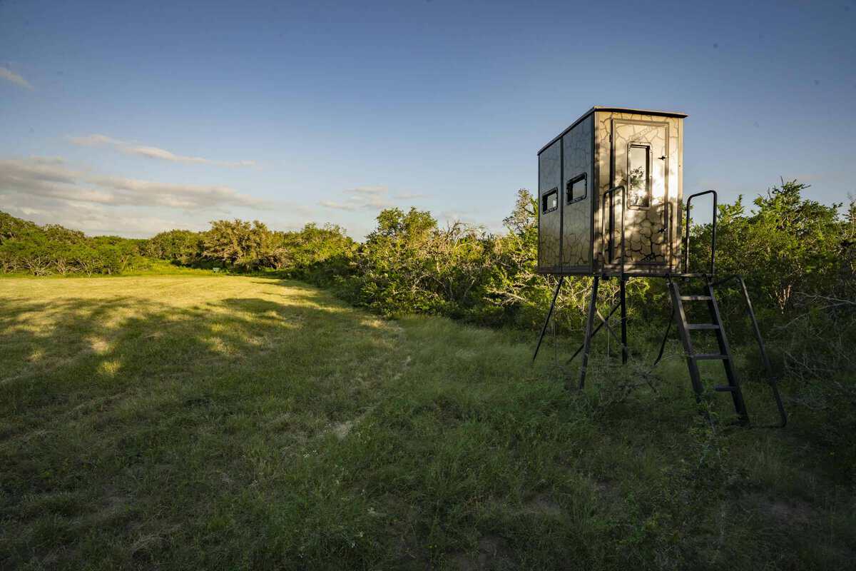 10255 Cr 113 Pettus TX 78146