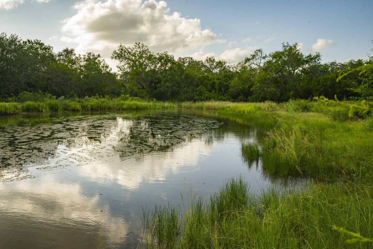 10255 Cr 113 Pettus TX 78146