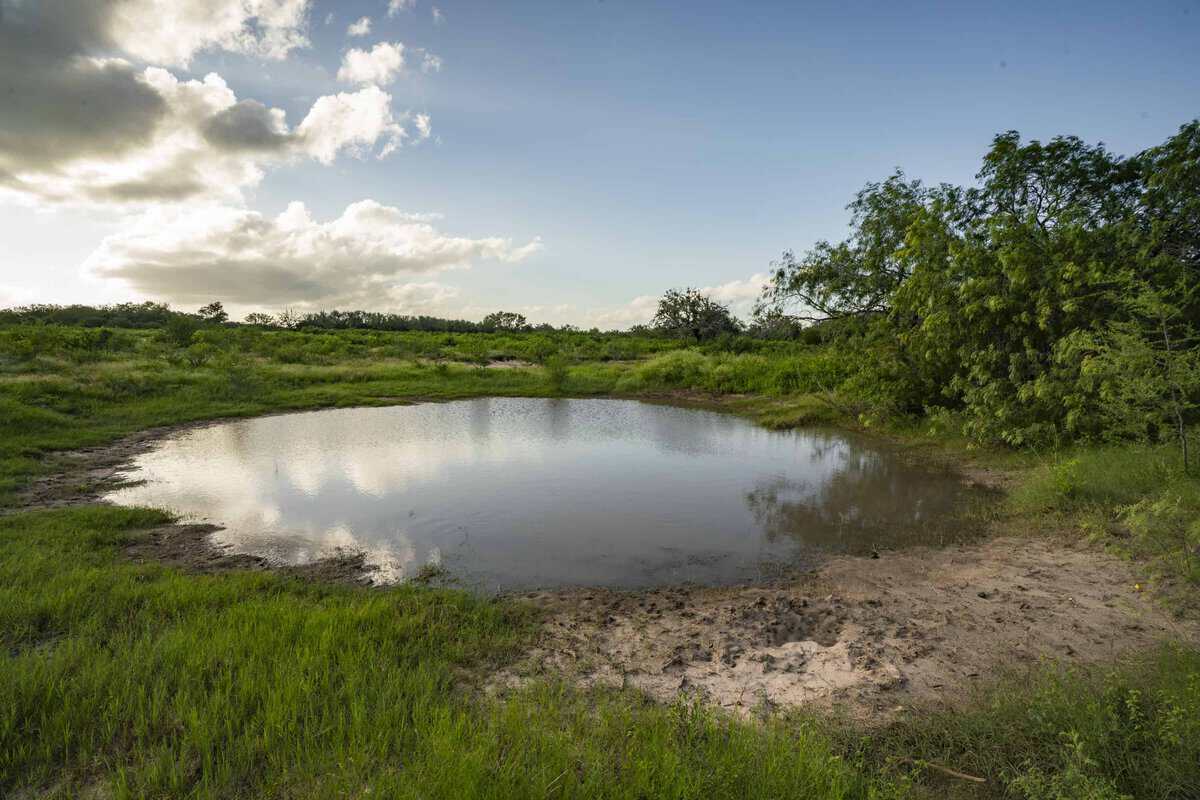 10255 Cr 113 Pettus TX 78146