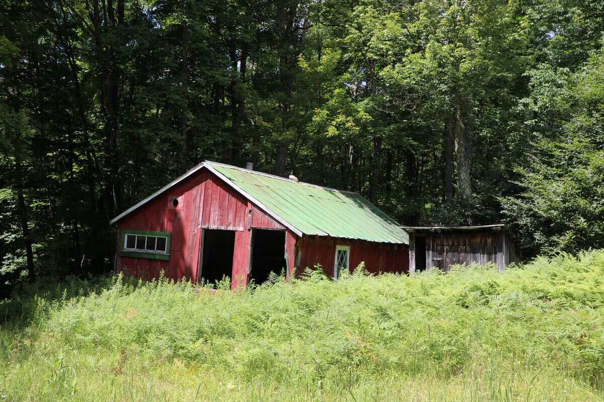 Jones Road Colton NY