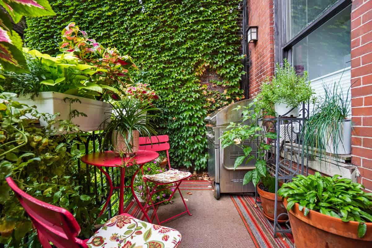 604 Tremont Street, Unit 1, Boston, MA 02118
