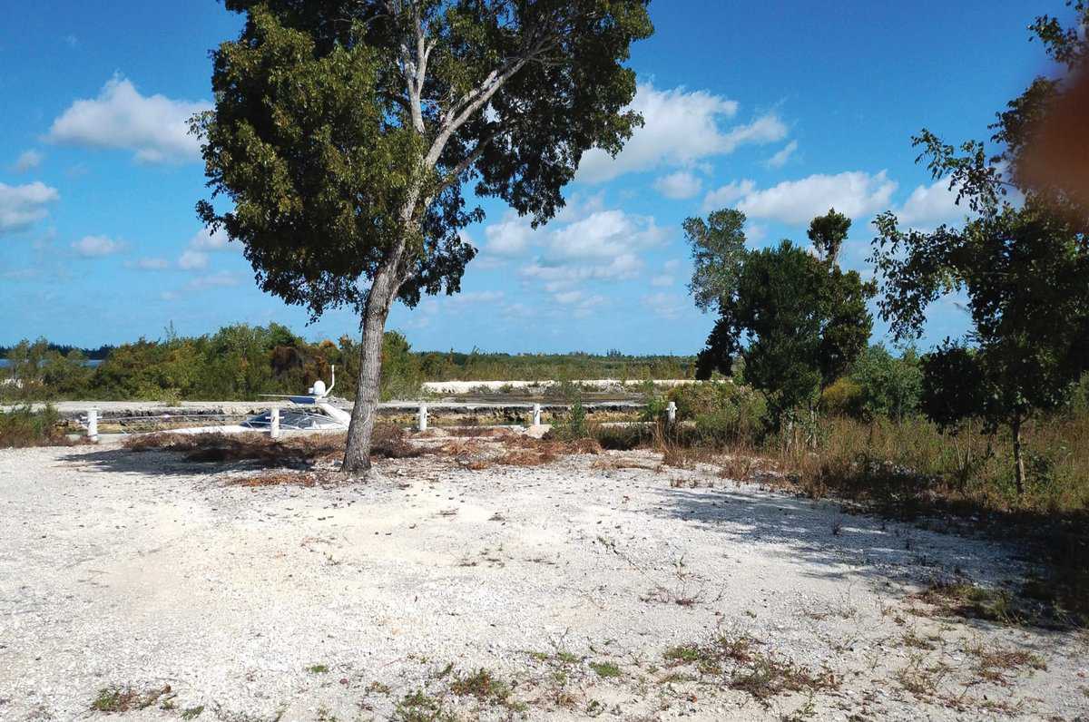 Venice Bay New Providence/Paradise Island BS