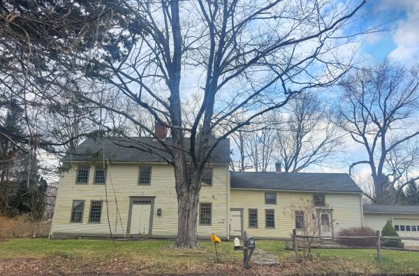 Storrs CT 06268