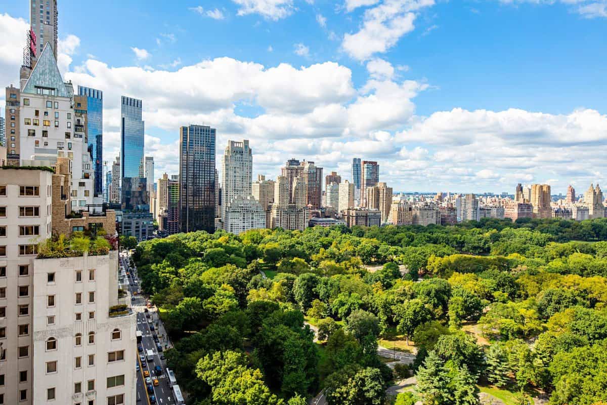 50 Central Park S #30/31 New York City NY 10019