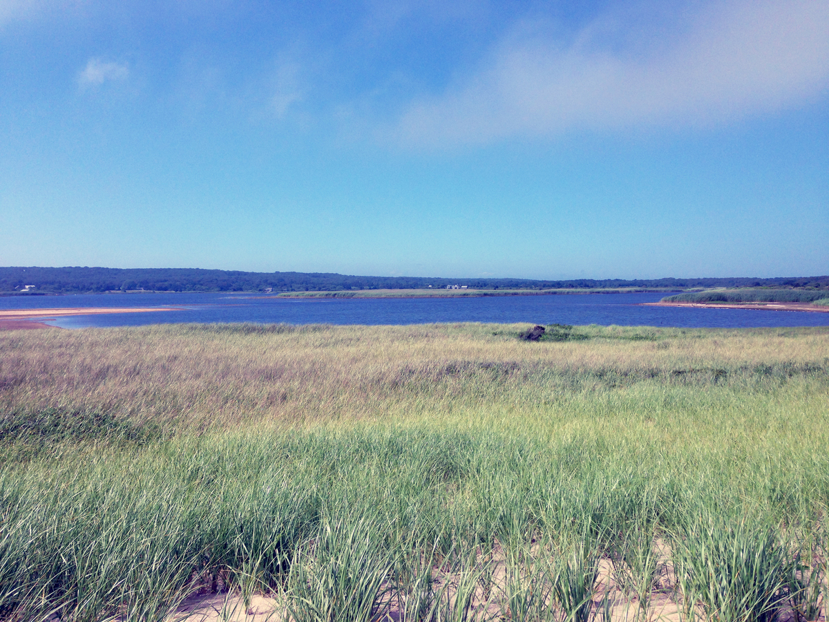 Chilmark MA 02535