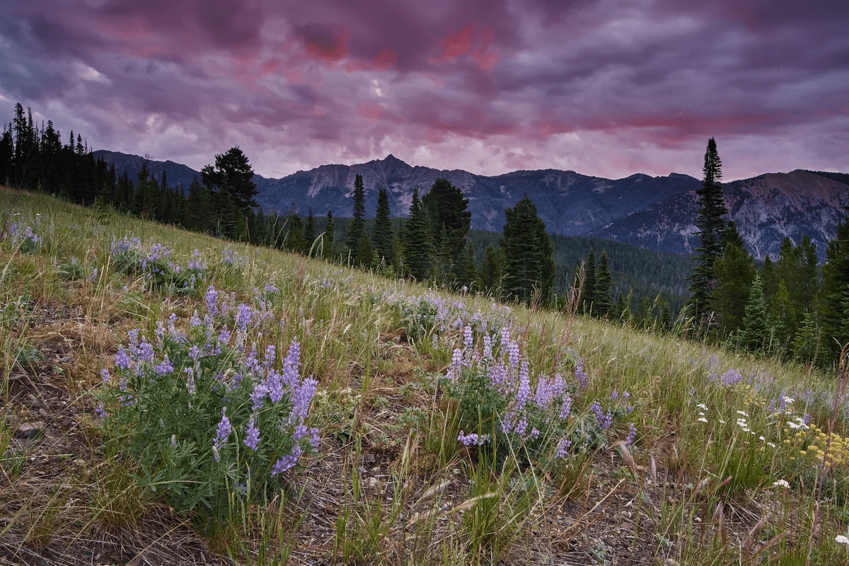 1320 Old Toby Road Big Sky MT 59716