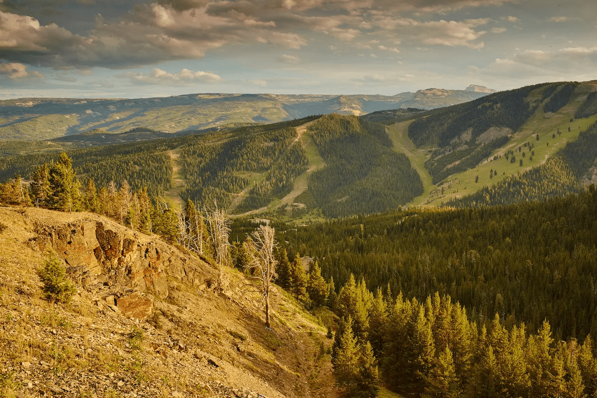 1320 Old Toby Road Big Sky MT 59716