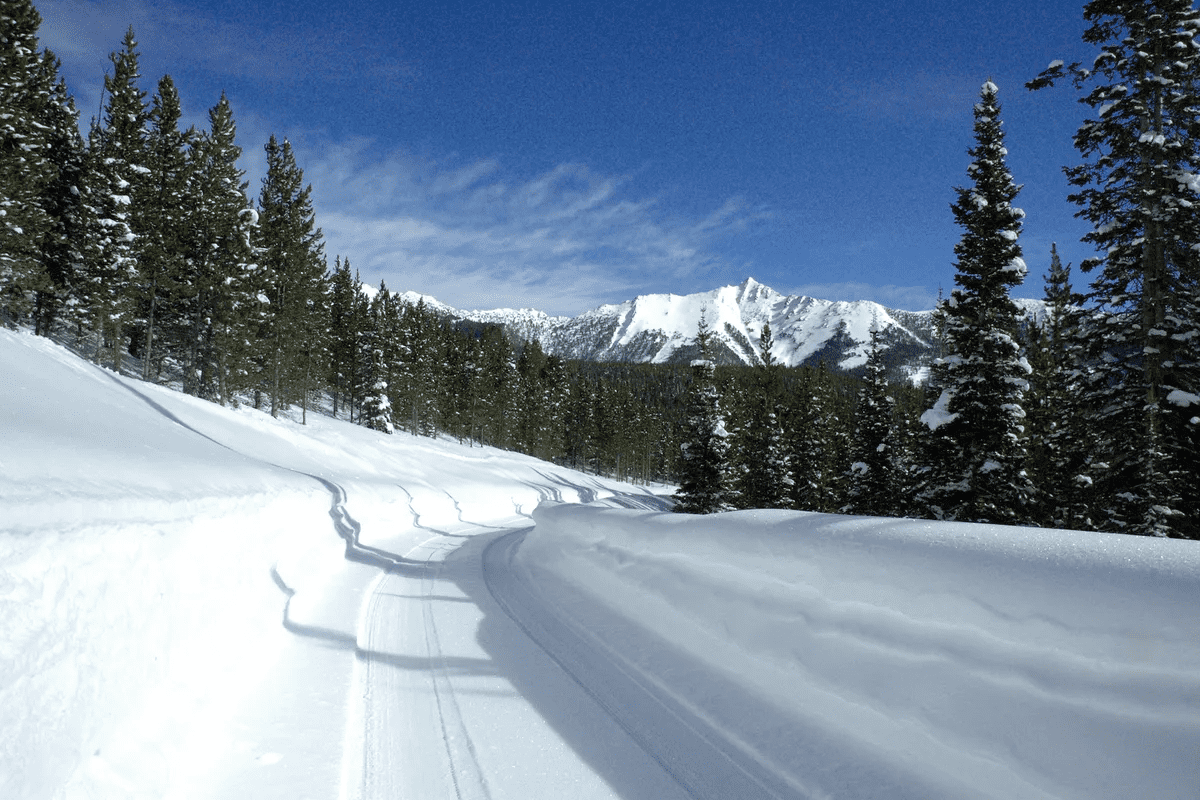1320 Old Toby Road Big Sky MT 59716
