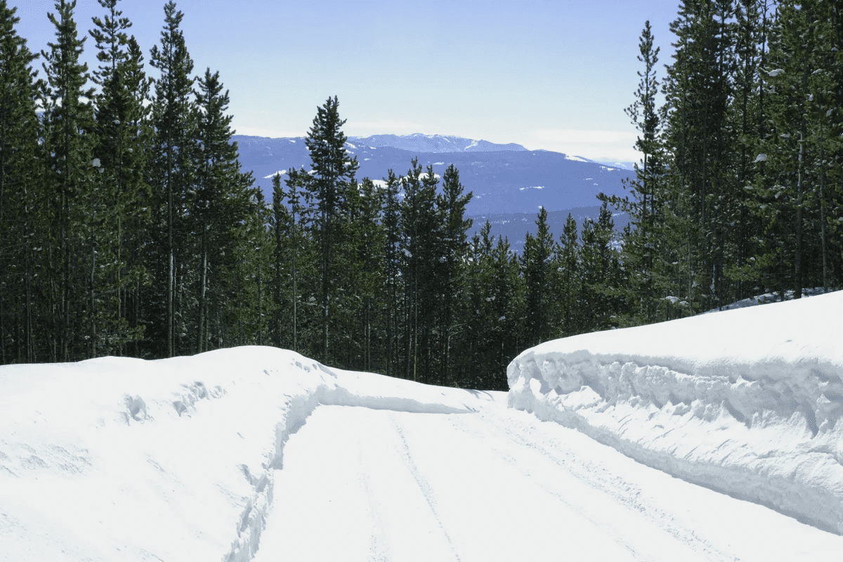 1320 Old Toby Road Big Sky MT 59716
