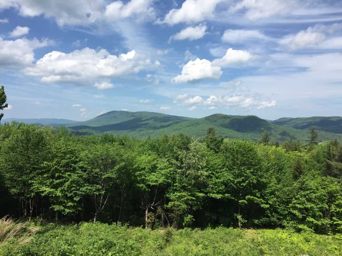 Jamaica VT 05251