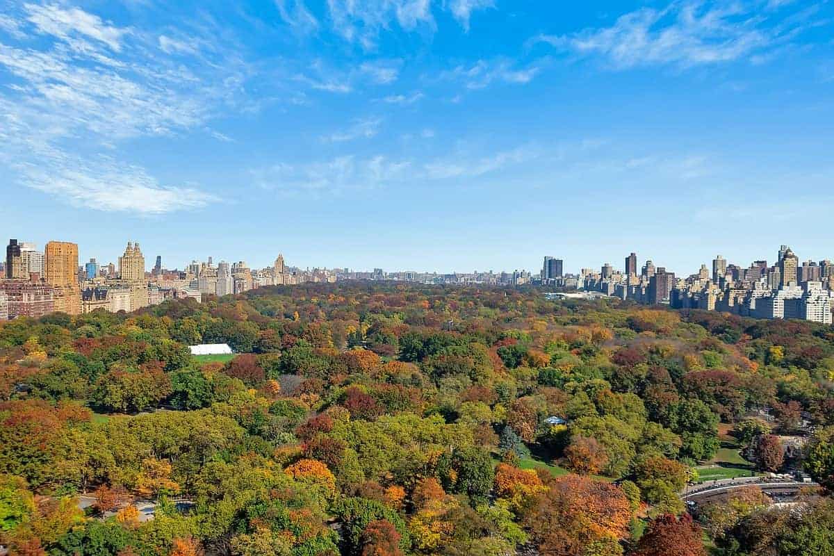 Central Park South NEW YORK NY 10019