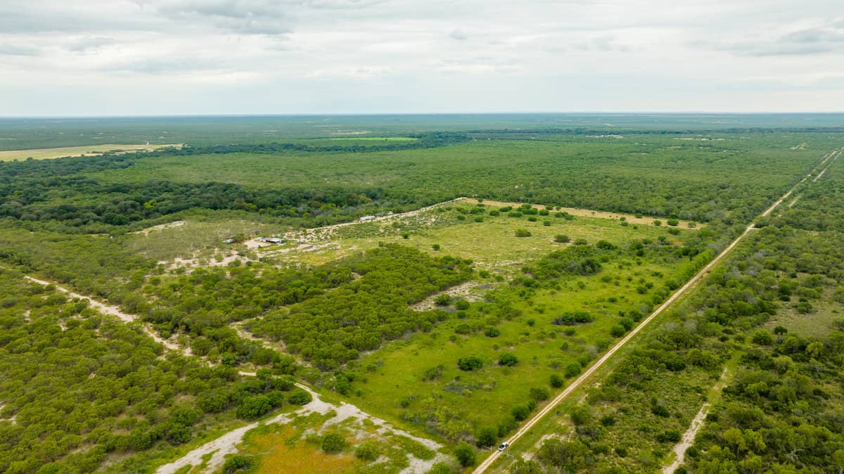 Crystal City TX