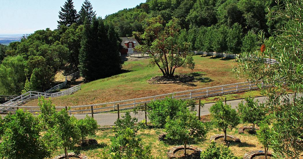 18730 Canyon Road Sonoma CA 95476