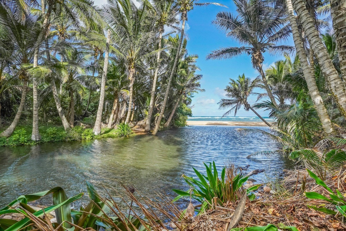 5000 Aliomanu Road Anahola HI 96703