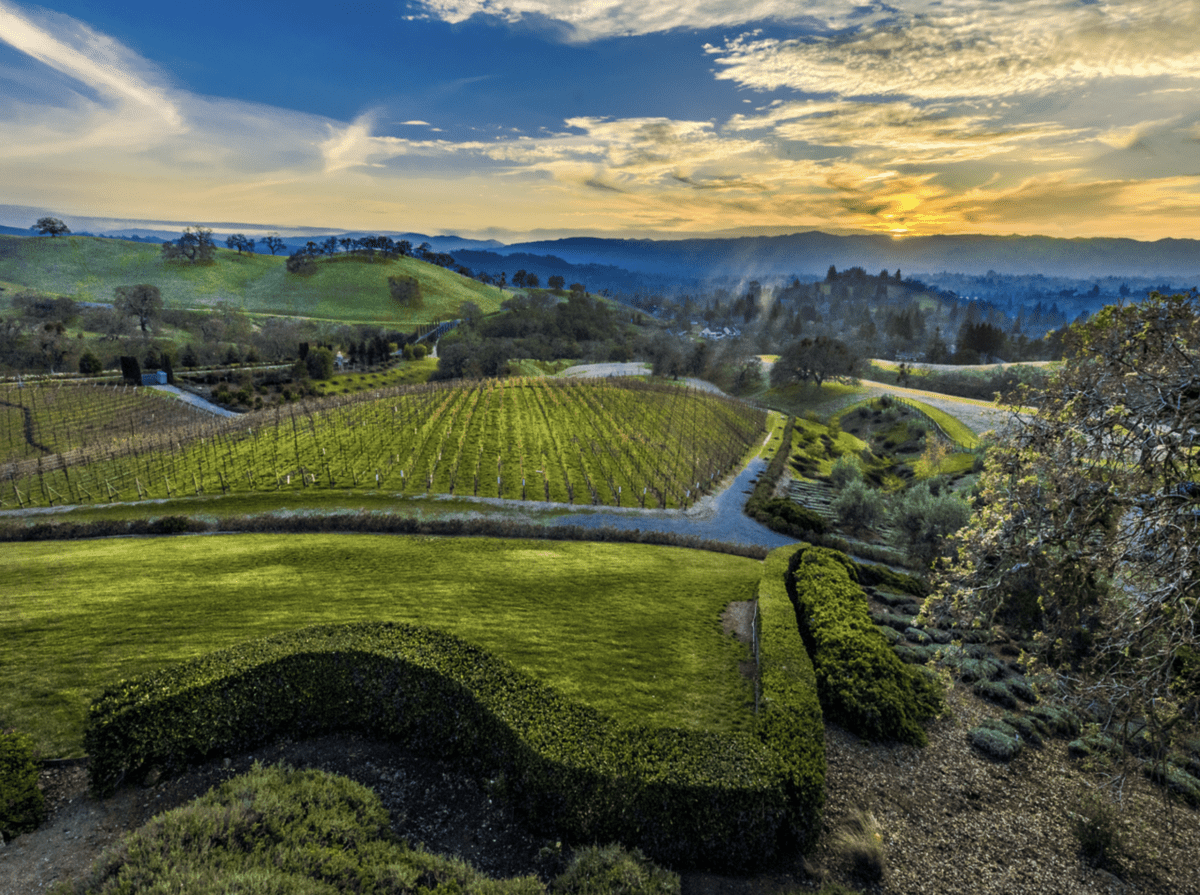 10 Serenity Lane Alamo CA 94507
