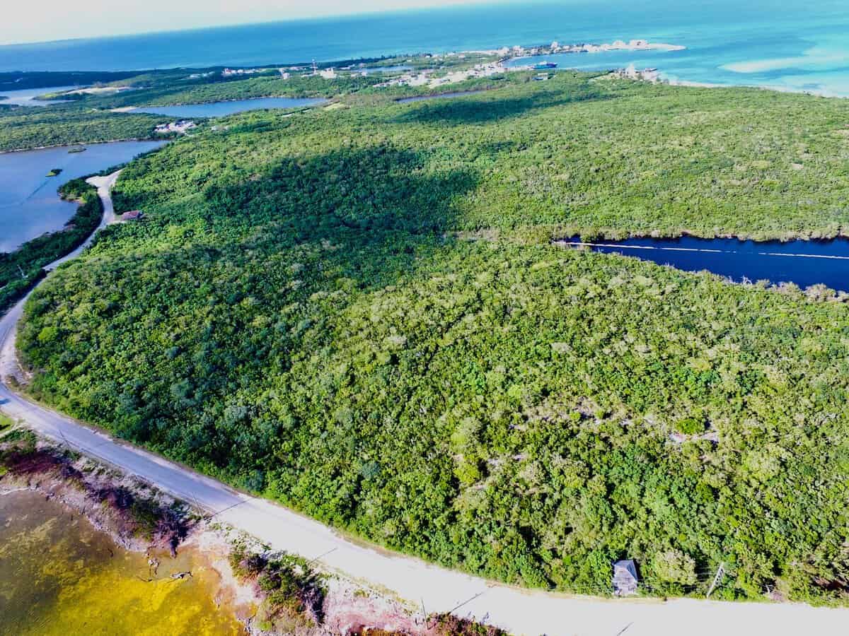 Chancery Pond, Clarence Town Long Island BS