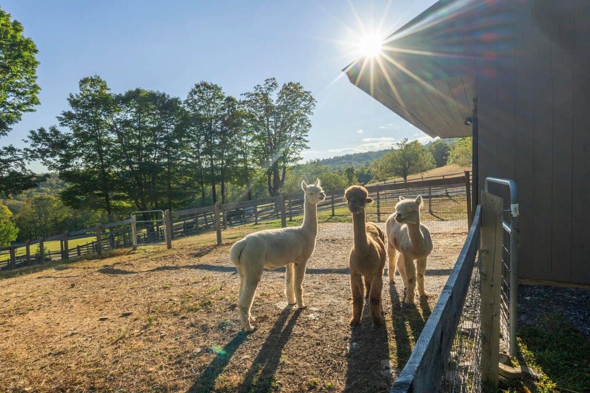 700 Barton Road West Windsor VT 05089