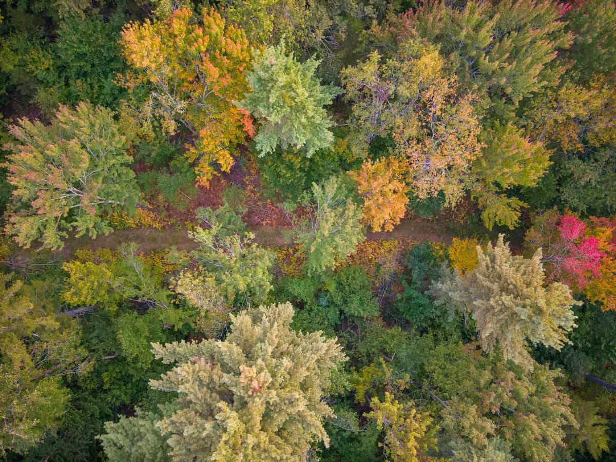 700 Barton Road West Windsor VT 05089