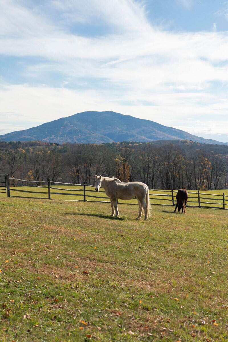 700 Barton Road West Windsor VT 05089