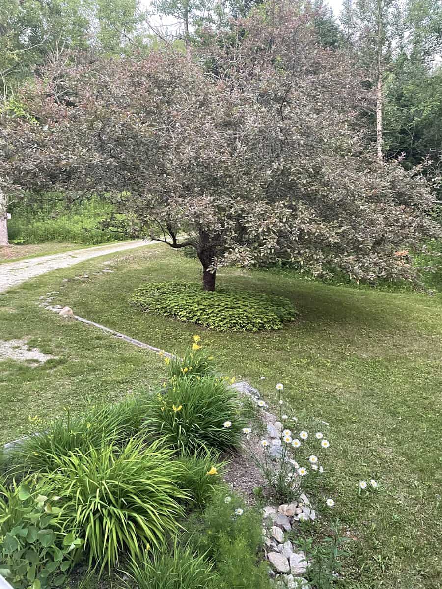 Peru VT 05152