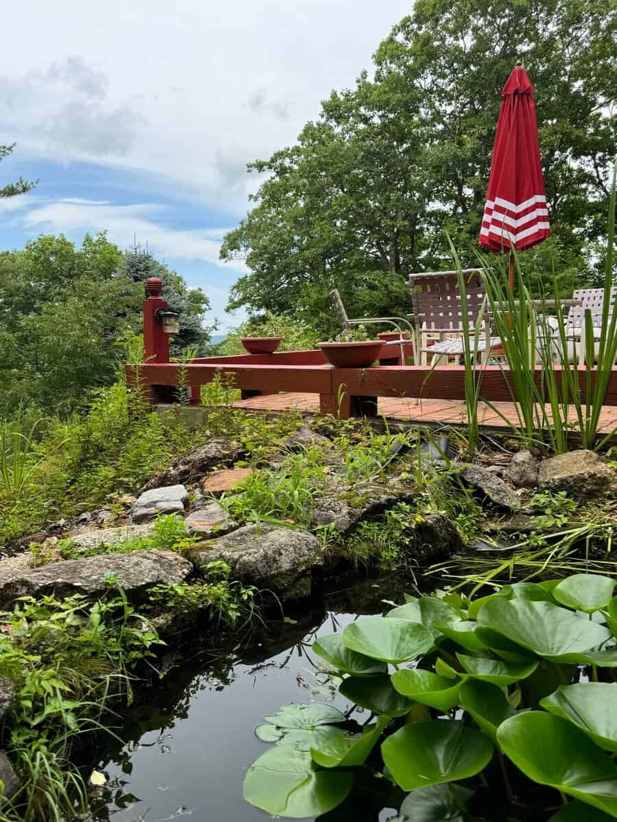 906 Shedd Hill Road Stoddard NH 03464