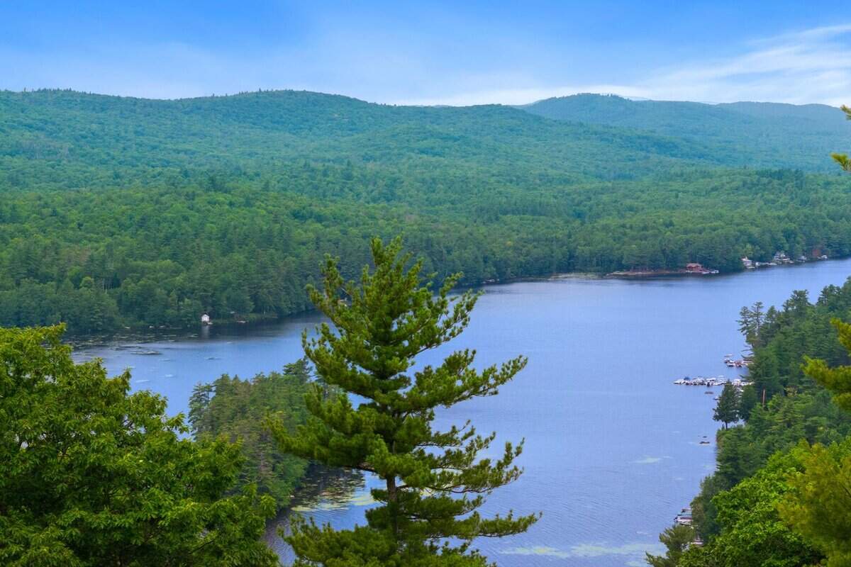 906 Shedd Hill Road Stoddard NH 03464