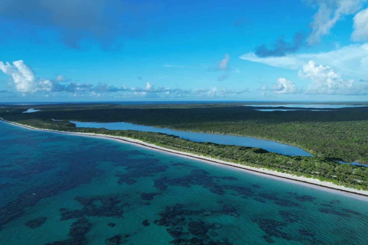 Cat Island BS,