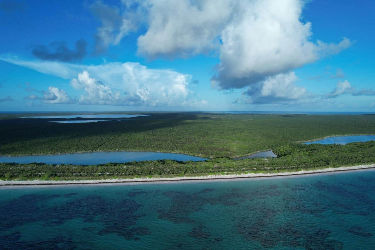 Cat Island BS