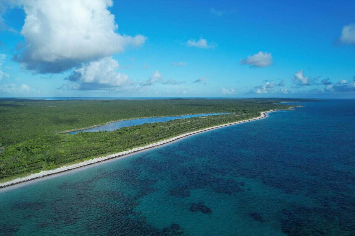 Cat Island BS
