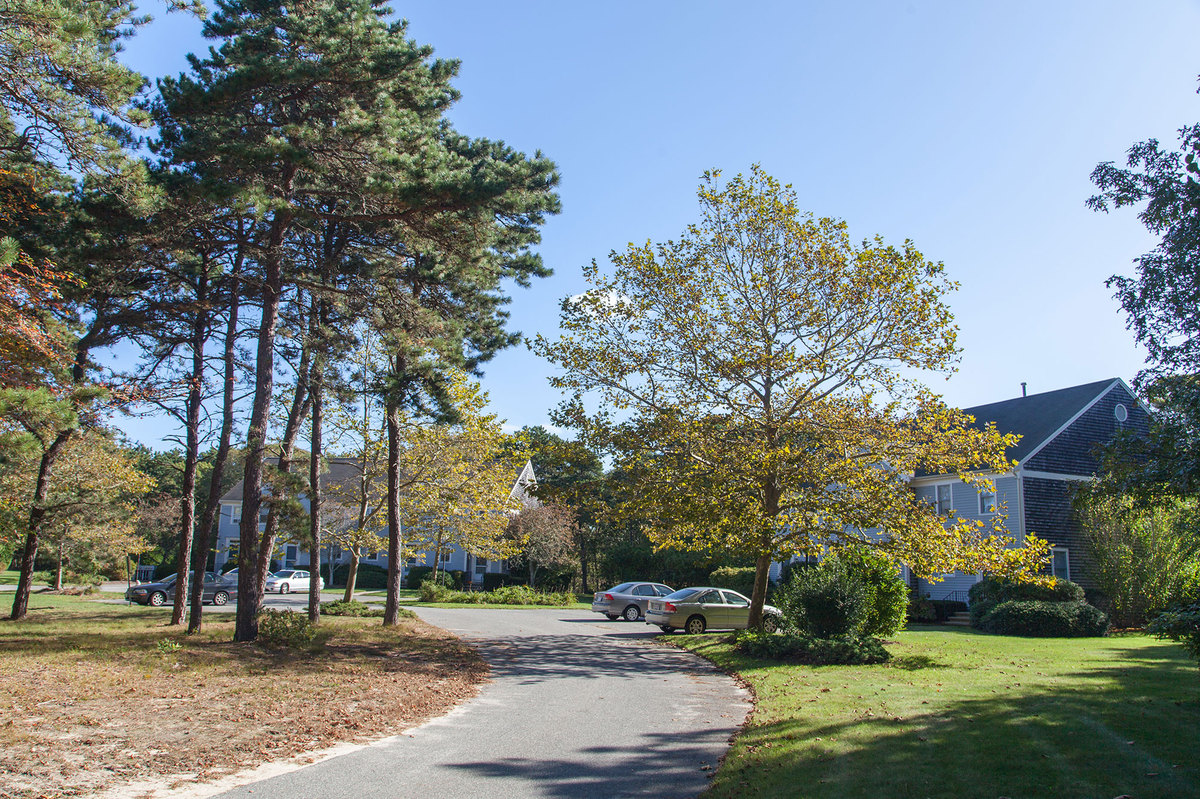 Cape Cod yearly rentals Dennis, MA