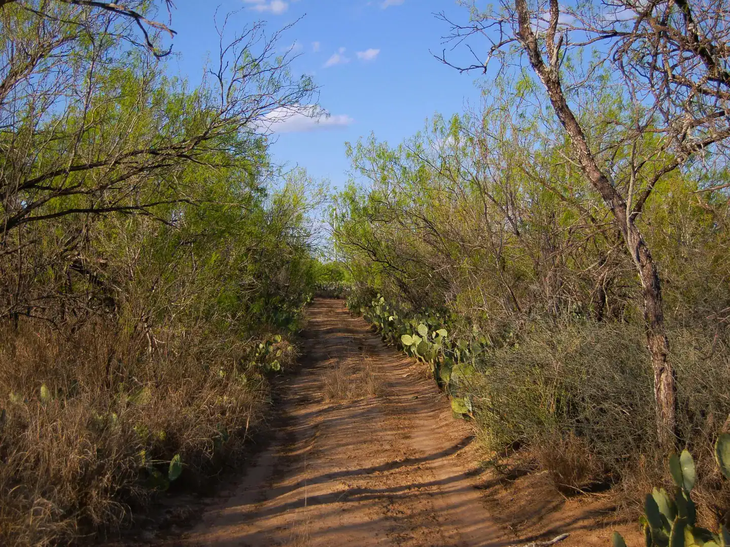 Fm 126 Carrizo Springs TX 78834
