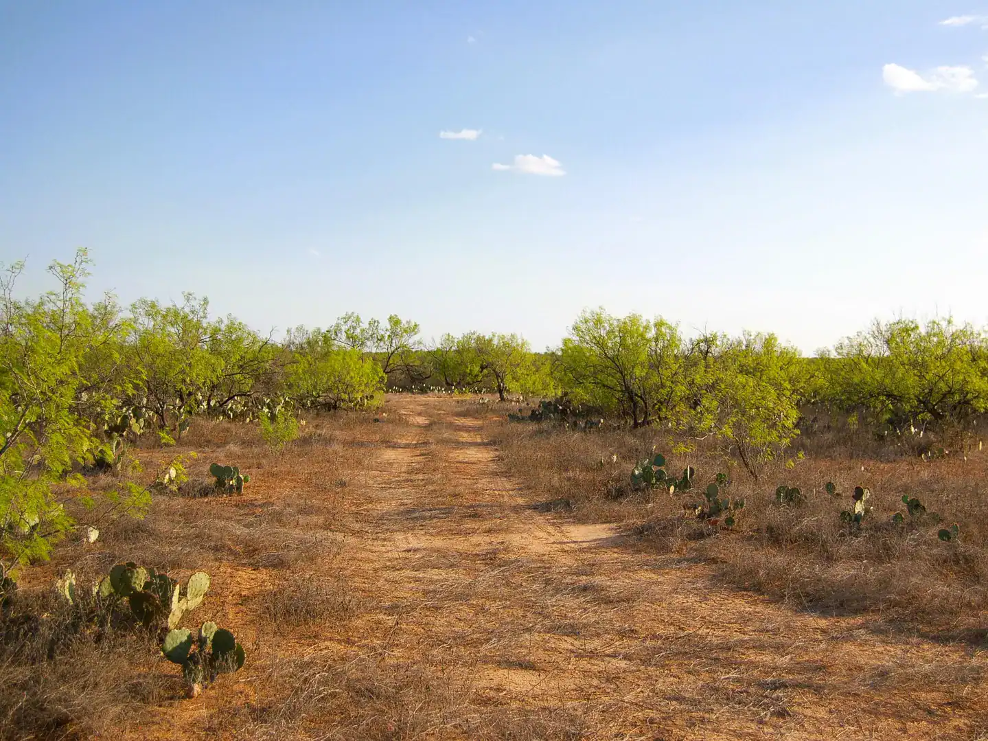 Fm 126 Carrizo Springs TX 78834