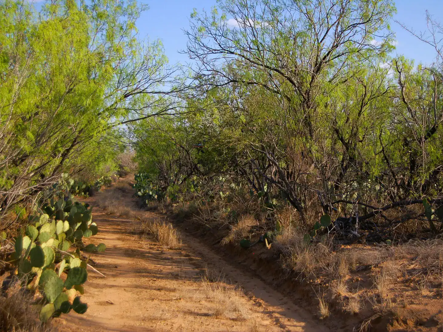 Fm 126 Carrizo Springs TX 78834