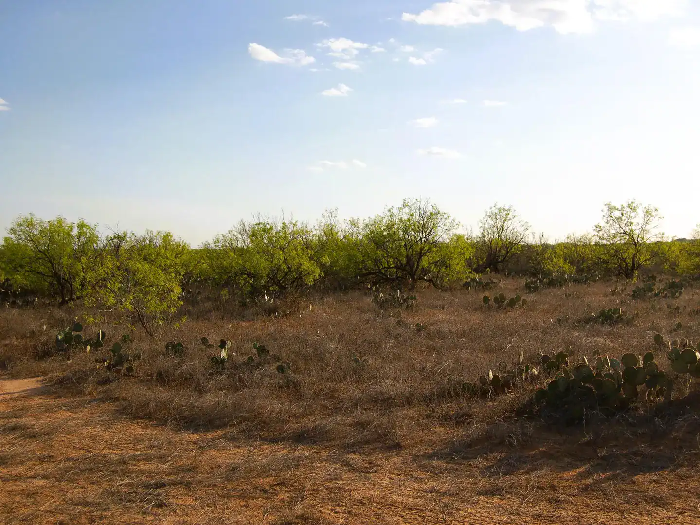 Fm 126 Carrizo Springs TX 78834