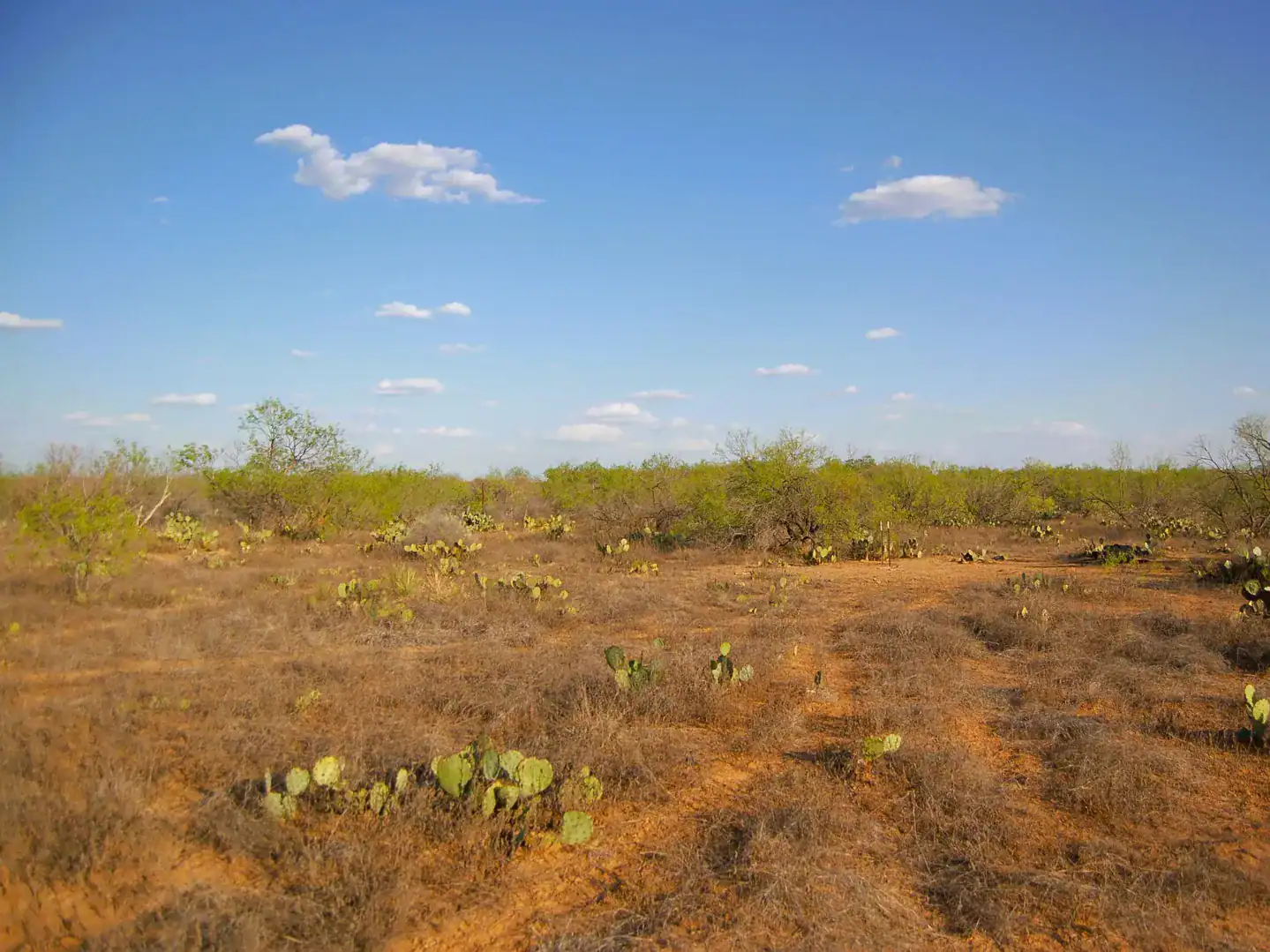 Fm 126 Carrizo Springs TX 78834