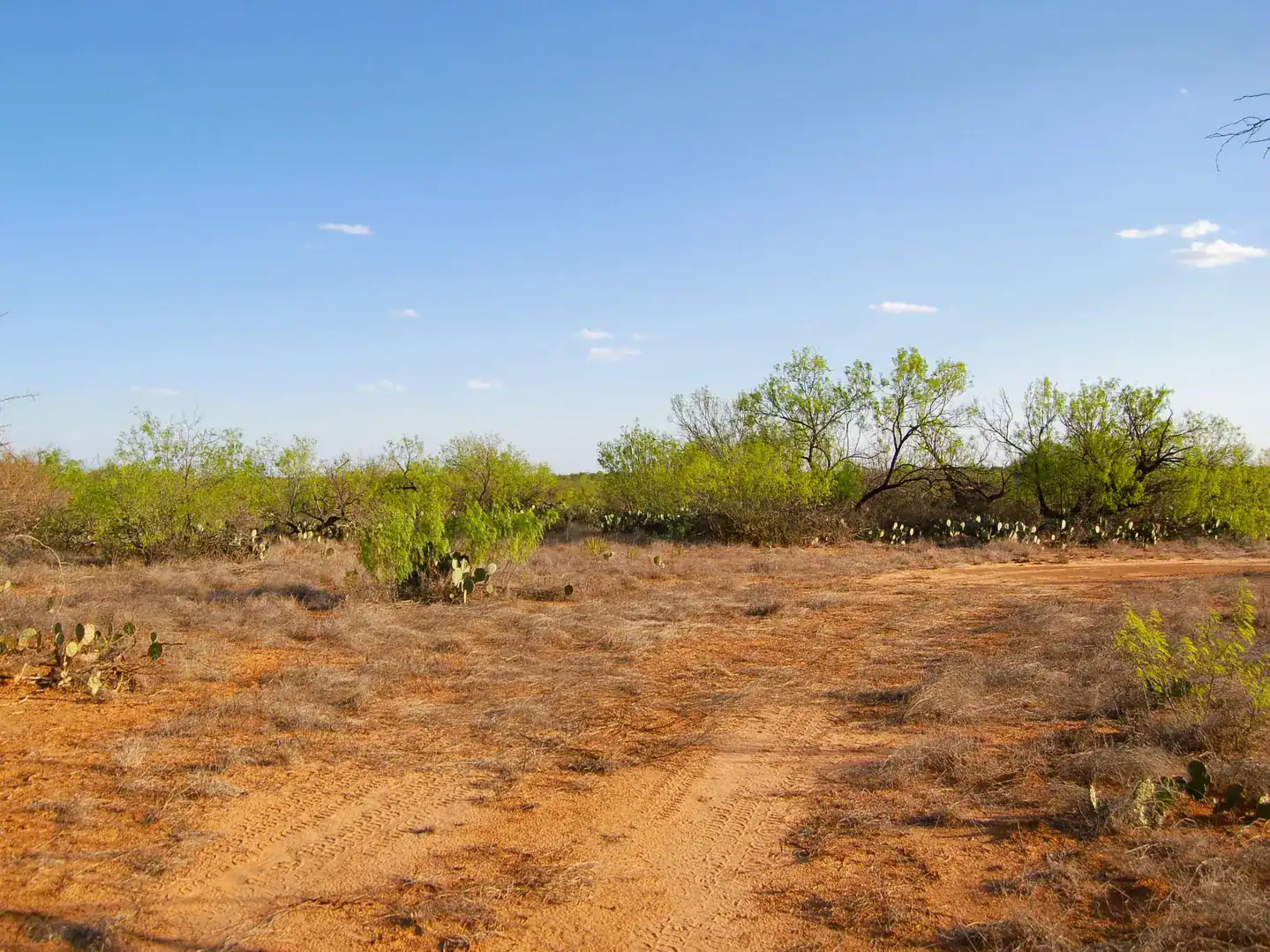 Fm 126 Carrizo Springs TX 78834