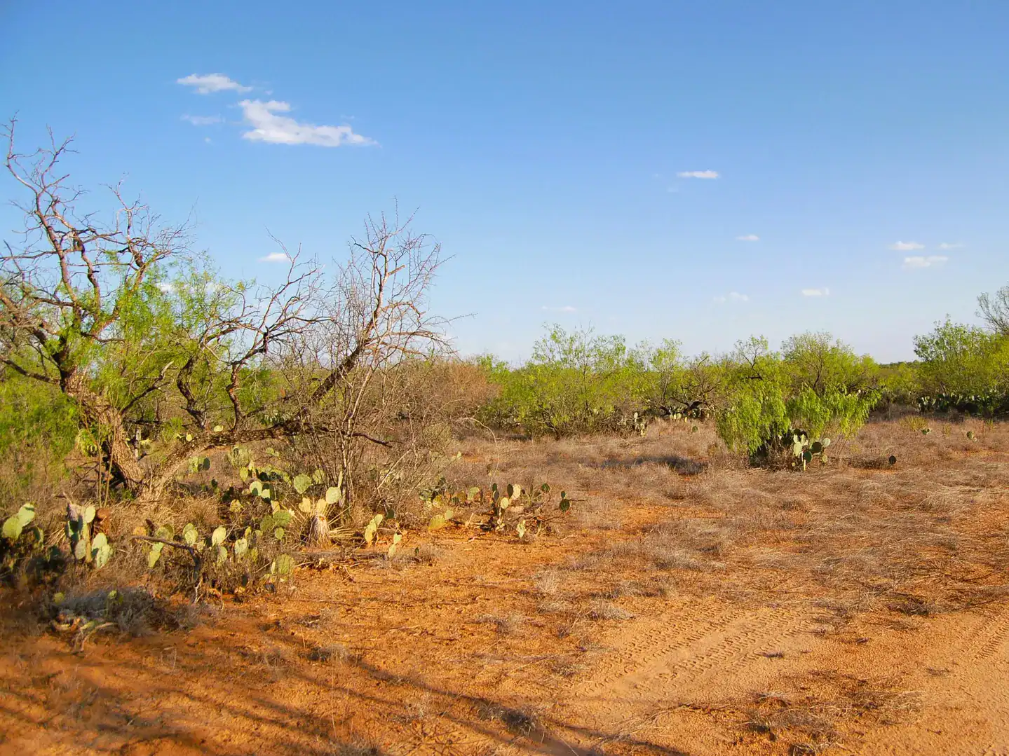 Fm 126 Carrizo Springs TX 78834