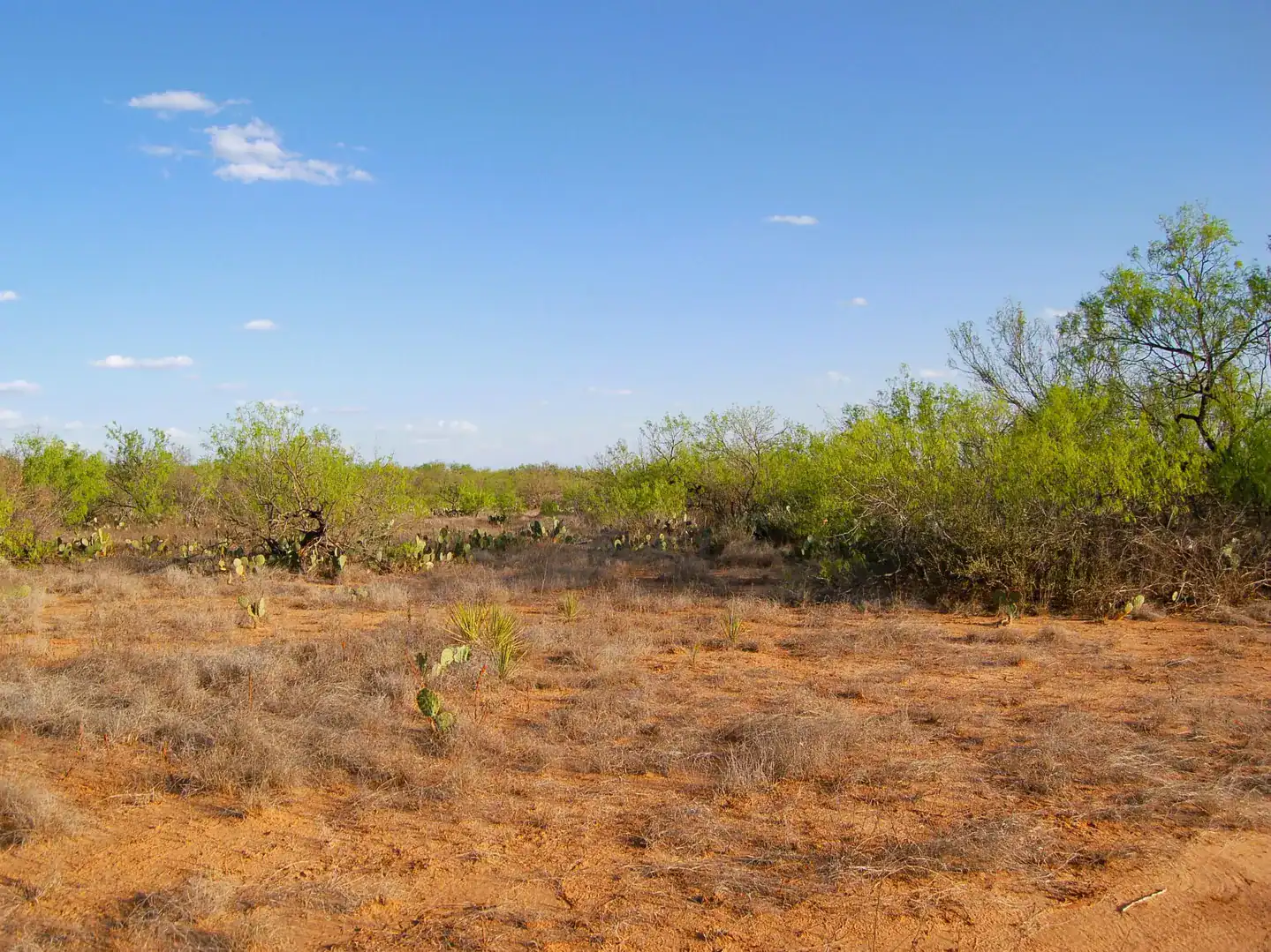 Fm 126 Carrizo Springs TX 78834