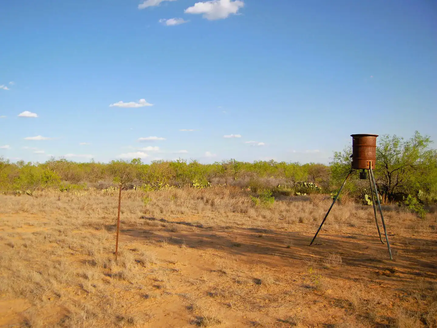 Fm 126 Carrizo Springs TX 78834
