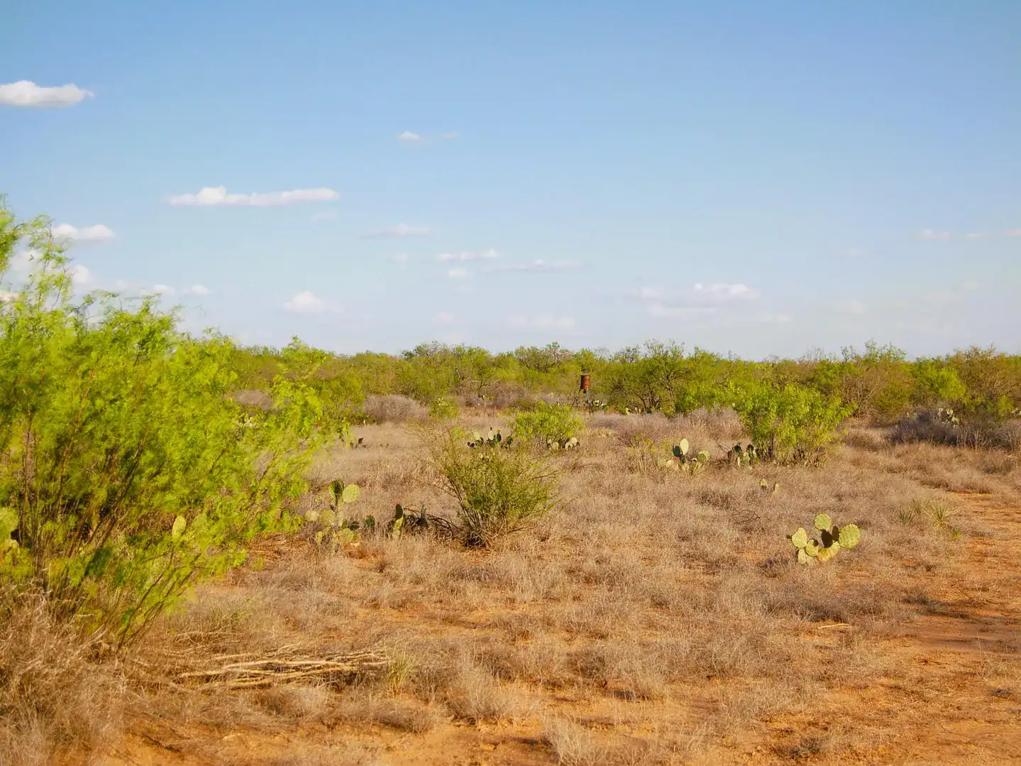 Fm 126 Carrizo Springs TX 78834