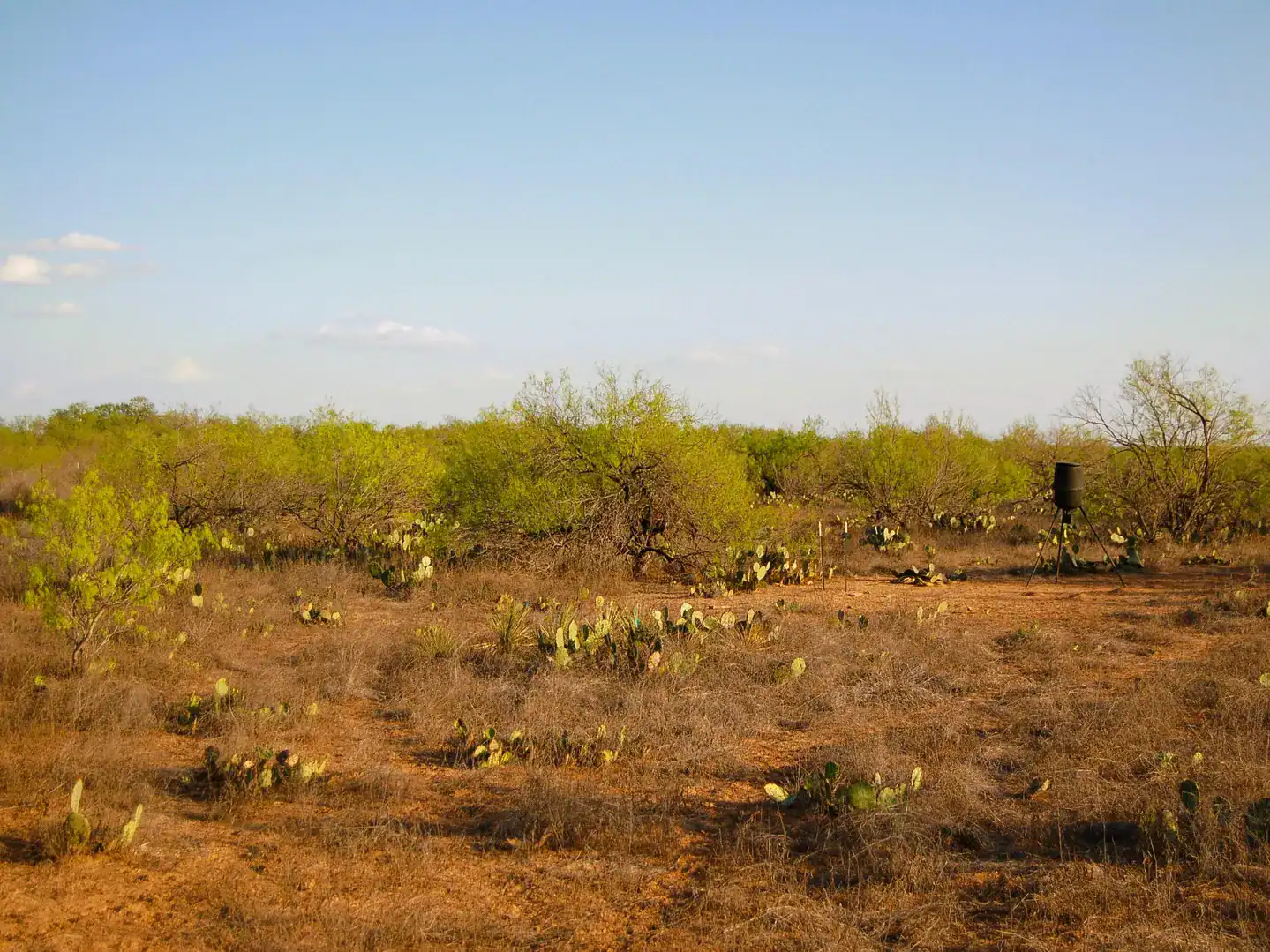 Fm 126 Carrizo Springs TX 78834